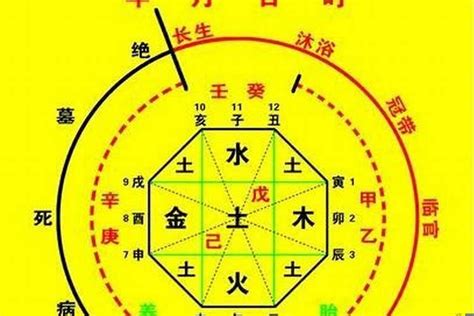 宸喜命理|生辰八字算命、五行喜用神查询（免费测算）